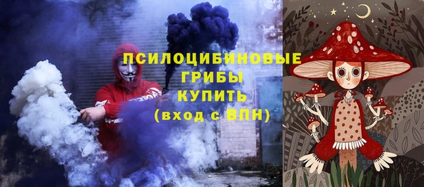 прущая мука Осташков