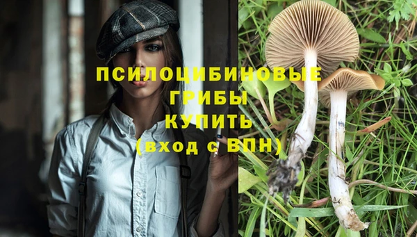 PSILOCYBIN Волоколамск