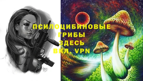 бутират Осинники